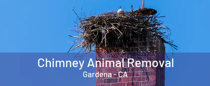 Chimney Animal Removal Gardena - CA