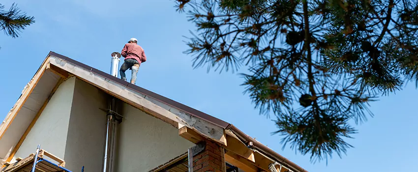 Birds Removal Contractors from Chimney in Gardena, CA