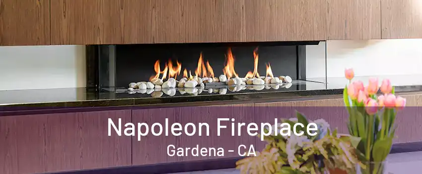 Napoleon Fireplace Gardena - CA